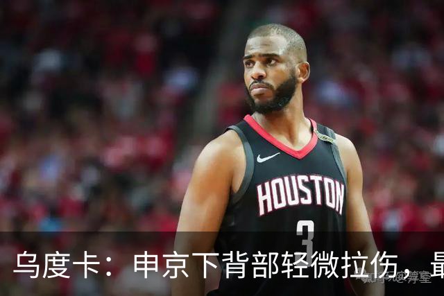 乌度卡：申京下背部轻微拉伤，最多缺席几场