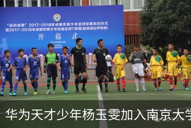华为天才少年杨玉雯加入南京大学任博导 此前已有两位华为天才少年入职南大