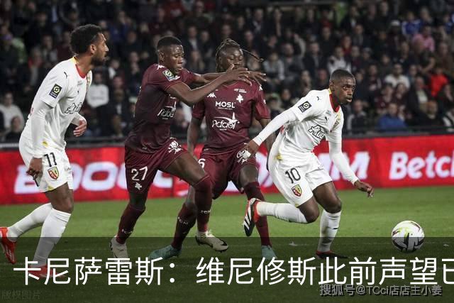 卡尼萨雷斯：维尼修斯此前声望已逐渐透支，他必须重拾昔日荣光
