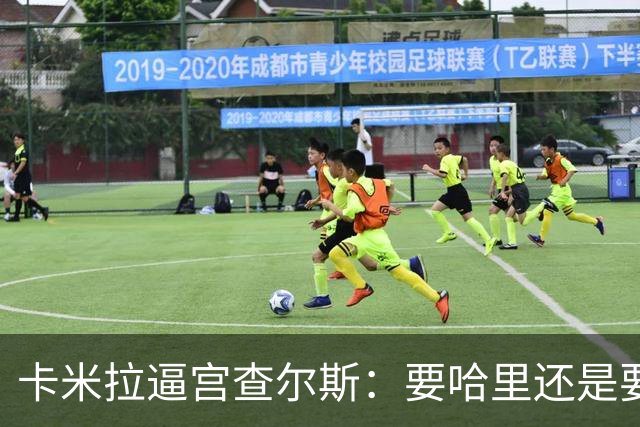 卡米拉"逼宫"查尔斯：要哈里还是要我
