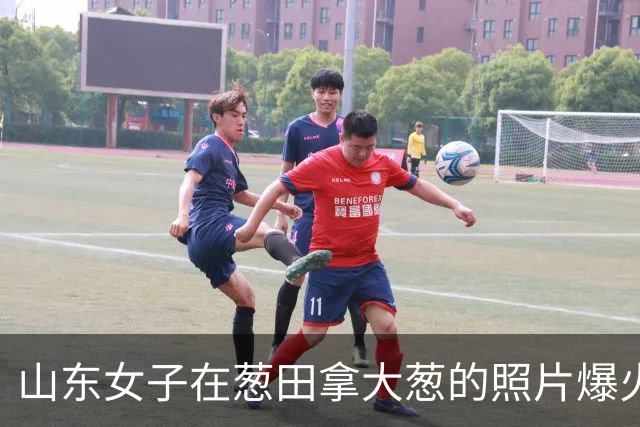 山东女子在葱田拿大葱的照片爆火