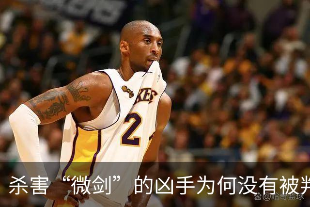 杀害“微剑”的凶手为何没有被判处死刑立即执行？！