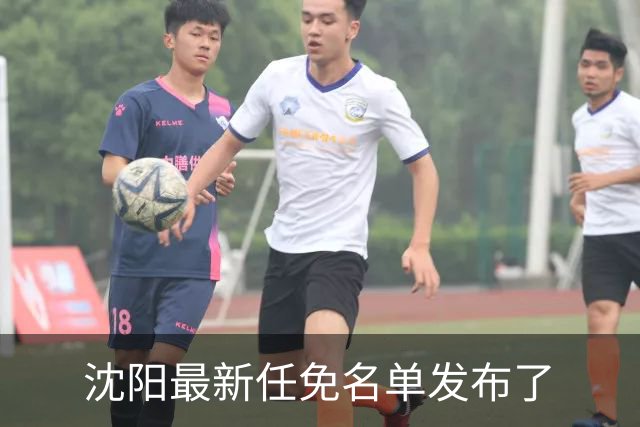 沈阳最新任免名单发布了