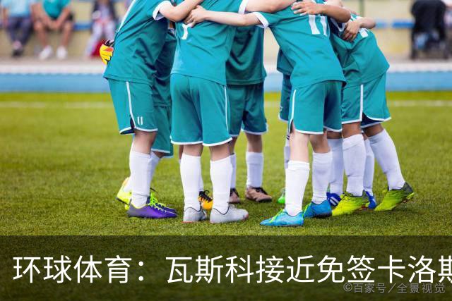 环球体育：瓦斯科接近免签卡洛斯-维尼修斯