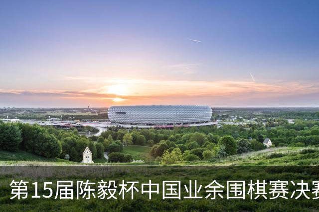 第15届陈毅杯中国业余围棋赛决赛在四川乐至举行