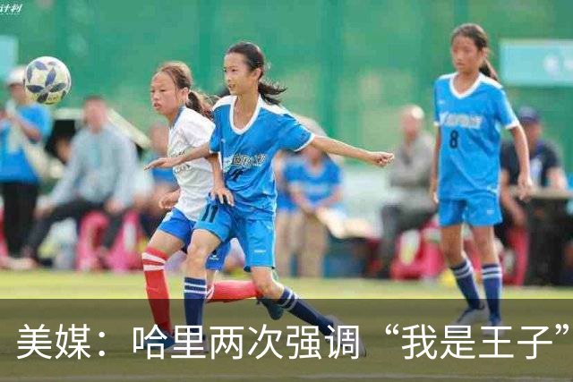 美媒：哈里两次强调“我是王子”，而威廉王子则称“直呼其名即可”