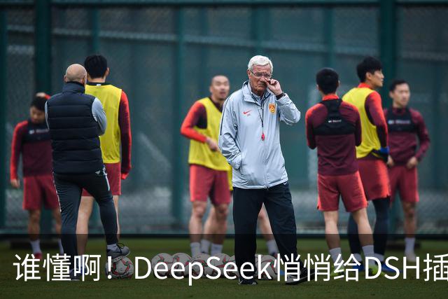 谁懂啊！DeepSeek悄悄给DSH插件开发者发钱了