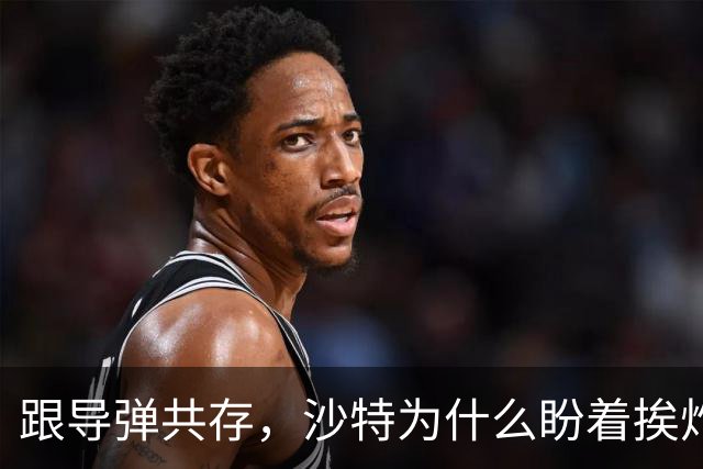 跟导弹共存，沙特为什么盼着挨炸？