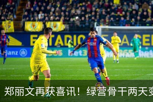 郑丽文再获喜讯！绿营骨干两天变蓝