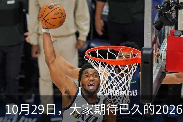 10月29日，大家期待已久的2026退休养老金，究竟涨还是不涨？