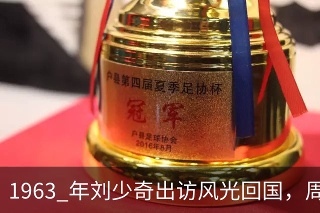 1963 年刘少奇出访风光回国，周总理一通电话怒斥犯忌！